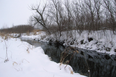 Genoa-Creek-1
