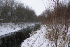 Genoa-Creek-2