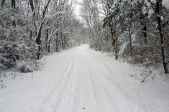 Hampshire-Forest-Preserve