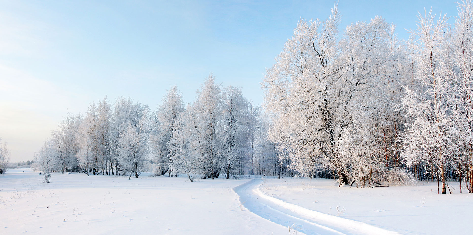 Photo background for Trail Conditions