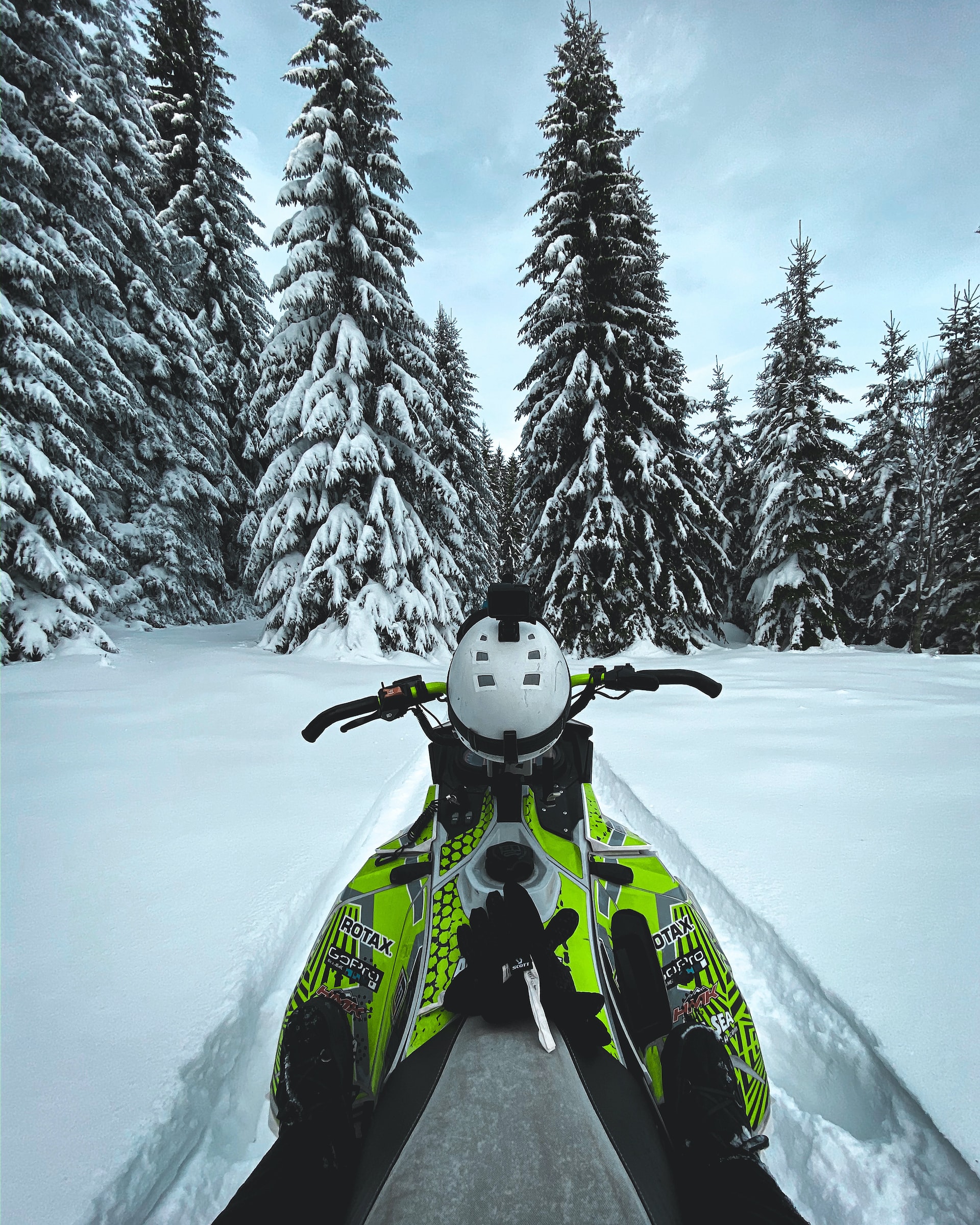 A Guide for Newbies: Snowmobiles – Illinois Association of Snowmobile ...
